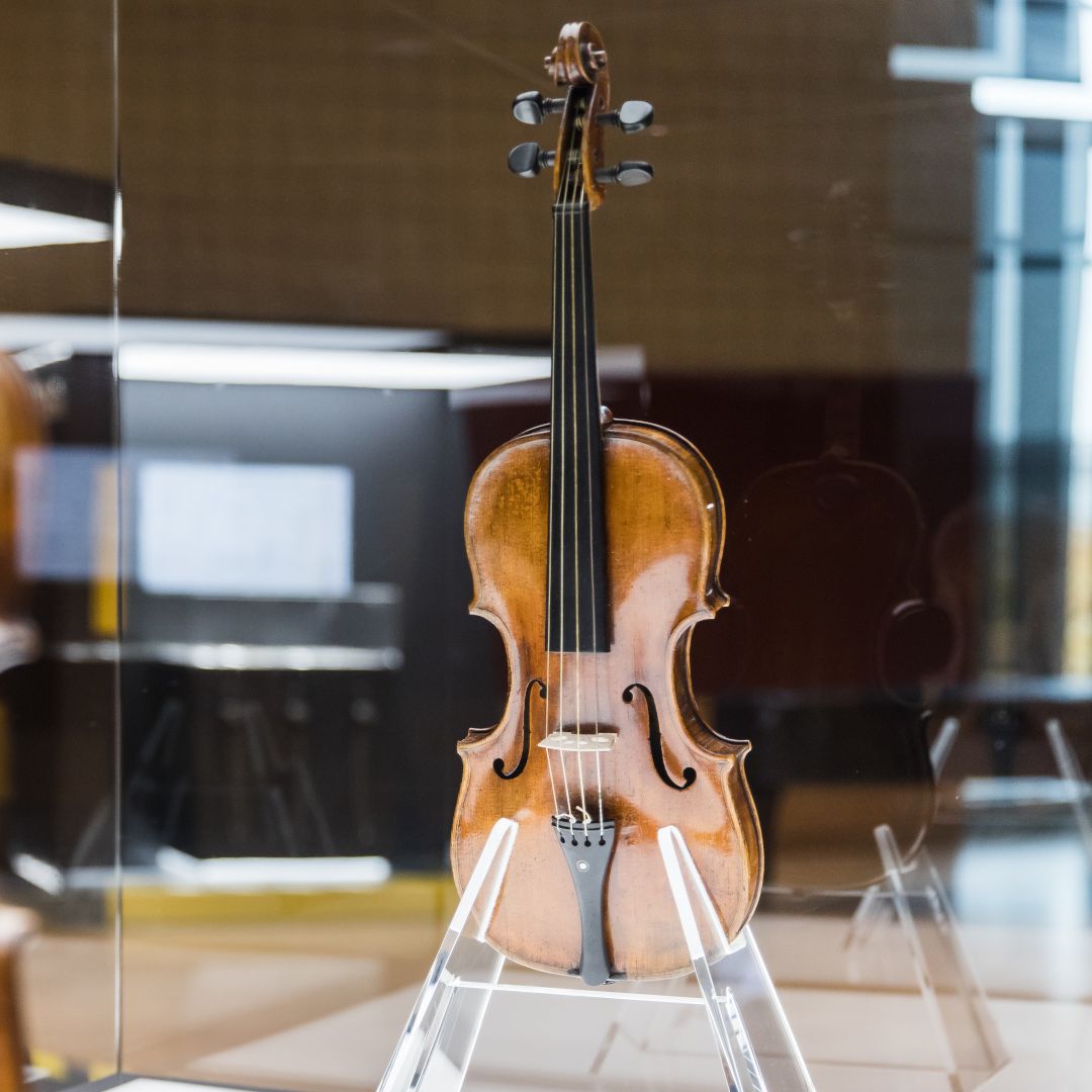 Violín